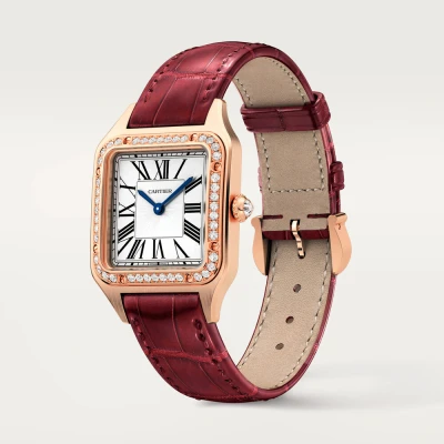 Cartier Santos-Dumont Cartier Santos-Dumont