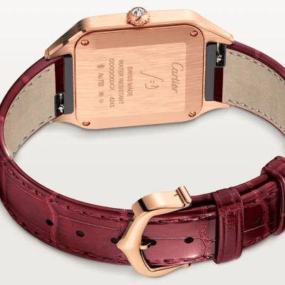 Cartier Santos-Dumont Cartier Santos-Dumont