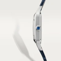 Cartier Santos-Dumont
