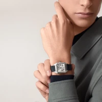 Cartier Santos-Dumont