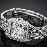 Cartier PANTHÈRE DE CARTIER STEEL MEDIUM