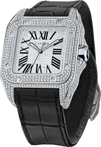 Santos de Cartier 100 Santos de Cartier 100
