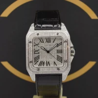 Santos de Cartier 100 Santos de Cartier 100