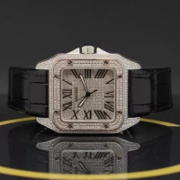 Santos de Cartier 100