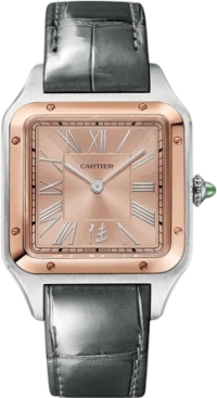 Cartier Santos Dumont Asia LE W2SA0027 Cartier Santos Dumont Asia LE W2SA0027