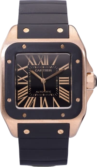 Часы Cartier Santos 100 XL W20124U2 2792 Часы Cartier Santos 100 XL W20124U2 2792