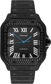 Часы Cartier Santos WSSA0018 Часы Cartier Santos WSSA0018