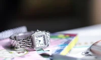 Cartier Panthere de Cartier Cartier Panthere de Cartier