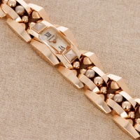 Cartier Clash [Un]limited watch