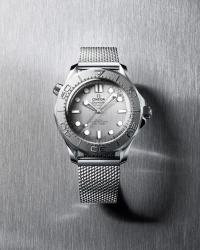 Omega Seamaster Diver 300 M Omega Seamaster Diver 300 M