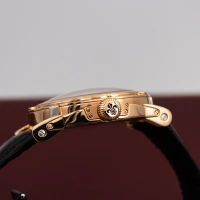 Louis Moinet Tourbillon Vertalis Louis Moinet Tourbillon Vertalis