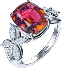 Кольцо RalfDiamonds КОЛЬЦО С ТУРМАЛИНОМ 3.83 СТ RD3.83CT (id 32490) Кольцо RalfDiamonds КОЛЬЦО С ТУРМАЛИНОМ 3.83 СТ RD3.83CT (id 32490)