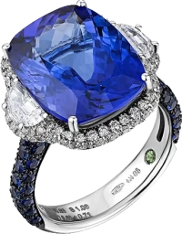 Кольцо Verdi Jewellery КОЛЬЦО С ТАНЗАНИТОМ 10.66 CT A55B (id 24367) Кольцо Verdi Jewellery КОЛЬЦО С ТАНЗАНИТОМ 10.66 CT A55B (id 24367)
