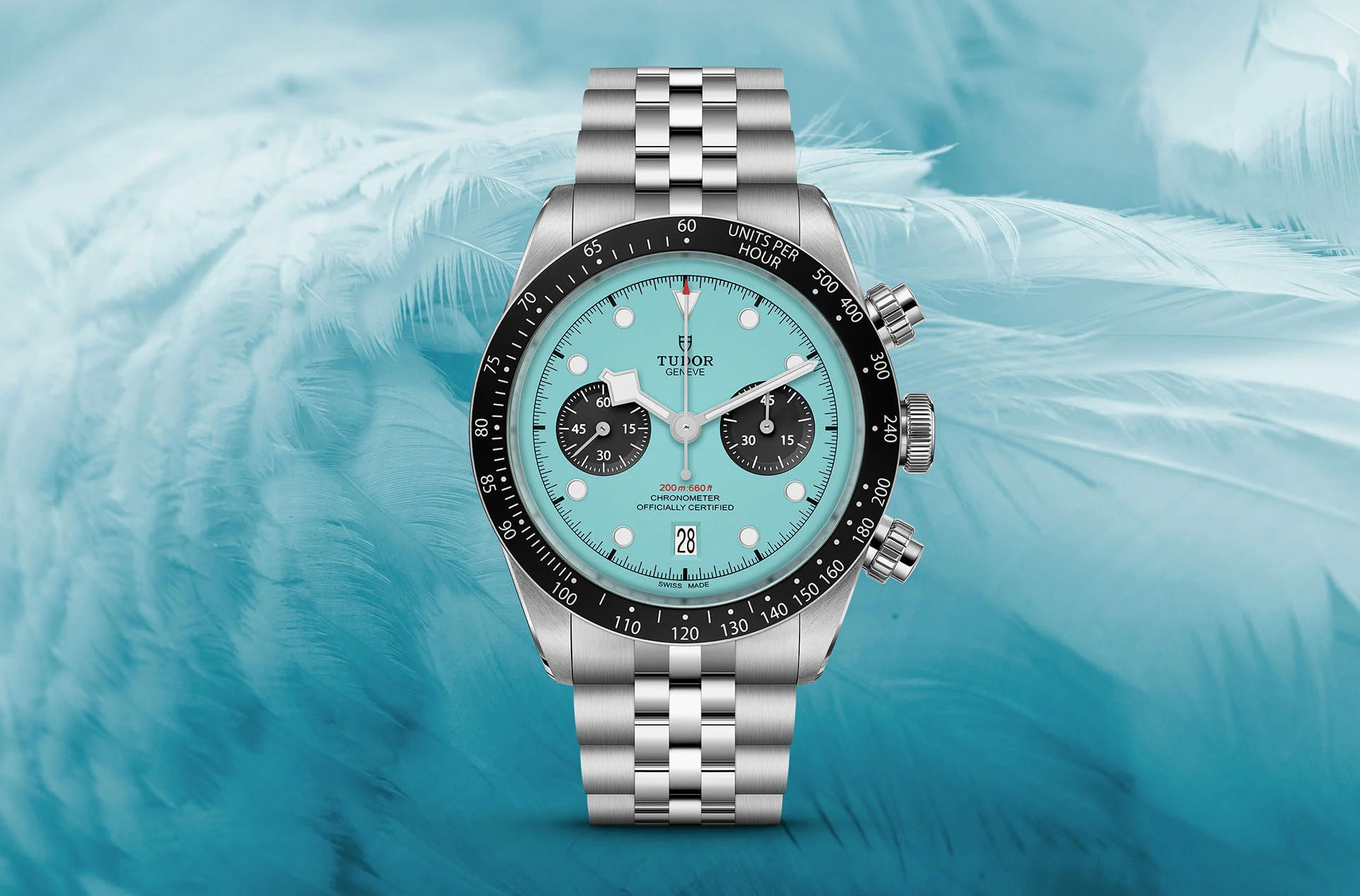 Превью статьи Tudor Black Bay Chrono Flamingo Blue
