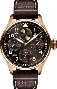 Часы IWC IW502617 (id 24881) Часы IWC IW502617 (id 24881)