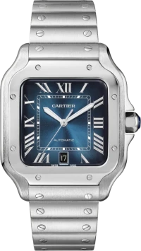 Часы Cartier SANTOS DE WATCH WSSA0030 Часы Cartier SANTOS DE WATCH WSSA0030