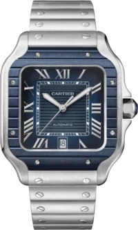 Часы Cartier SANTOS DE WATCH WSSA0048 Часы Cartier SANTOS DE WATCH WSSA0048