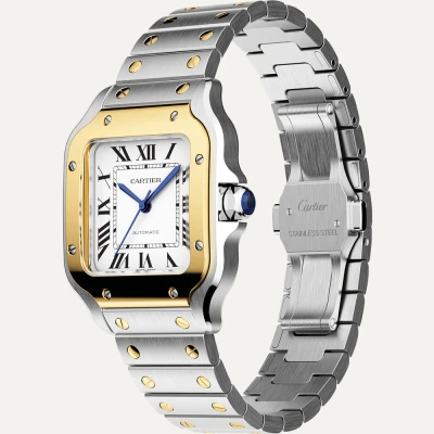 Cartier Santos de Cartier Cartier Santos de Cartier