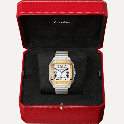 Cartier Santos de Cartier Cartier Santos de Cartier