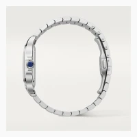 Cartier Santos de Cartier Cartier Santos de Cartier