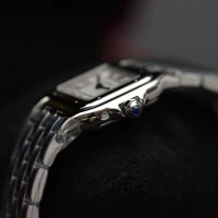 Cartier Panthère de Cartier