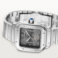 Cartier Santos de Cartier watch Cartier Santos de Cartier watch