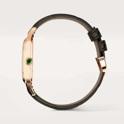 Cartier Santos-Dumont watch Cartier Santos-Dumont watch