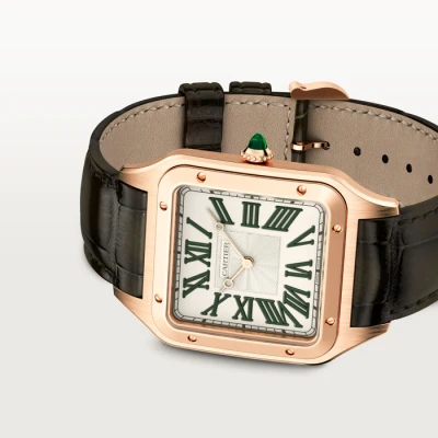 Cartier Santos-Dumont watch Cartier Santos-Dumont watch