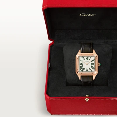 Cartier Santos-Dumont watch Cartier Santos-Dumont watch