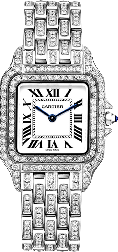 Cartier PANTHÈRE DE CARTIER STEEL MEDIUM