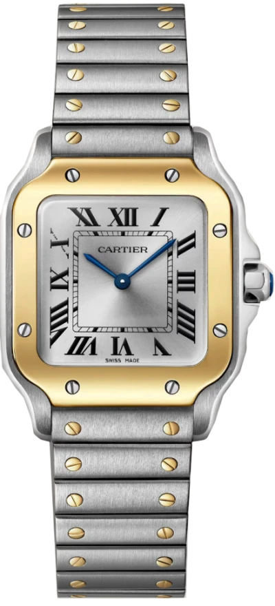 Santos De Cartier Watch W2SA0033