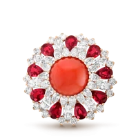 Van Cleef & Arpels Ludo Van Cleef & Arpels Ludo