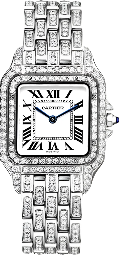 Cartier PANTHÈRE DE CARTIER STEEL MEDIUM