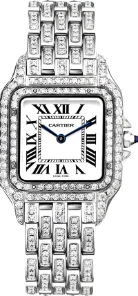 Cartier PANTHÈRE DE CARTIER STEEL MEDIUM Cartier PANTHÈRE DE CARTIER STEEL MEDIUM