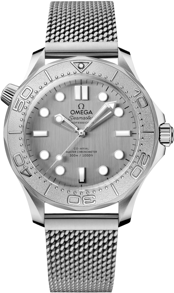 Omega Seamaster Diver 300 M
