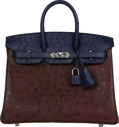 Hermes Bi-Color Birkin 25 Rouge Sellier and Bleu Saphir Ostrich Palladium Hardware Hermes Bi-Color Birkin 25 Rouge Sellier and Bleu Saphir Ostrich Palladium Hardware