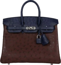 Hermes Bi-Color Birkin 25 Rouge Sellier and Bleu Saphir Ostrich Palladium Hardware Hermes Bi-Color Birkin 25 Rouge Sellier and Bleu Saphir Ostrich Palladium Hardware