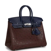 Hermes Bi-Color Birkin 25 Rouge Sellier and Bleu Saphir Ostrich Palladium Hardware Hermes Bi-Color Birkin 25 Rouge Sellier and Bleu Saphir Ostrich Palladium Hardware