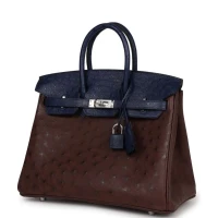 Hermes Bi-Color Birkin 25 Rouge Sellier and Bleu Saphir Ostrich Palladium Hardware Hermes Bi-Color Birkin 25 Rouge Sellier and Bleu Saphir Ostrich Palladium Hardware