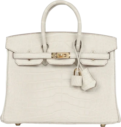Hermes Birkin 25 Beton Matte Alligator Gold Hardware Hermes Birkin 25 Beton Matte Alligator Gold Hardware
