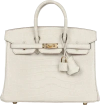 Hermes Birkin 25 Beton Matte Alligator Gold Hardware Hermes Birkin 25 Beton Matte Alligator Gold Hardware