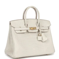 Hermes Birkin 25 Beton Matte Alligator Gold Hardware Hermes Birkin 25 Beton Matte Alligator Gold Hardware