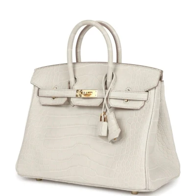 Hermes Birkin 25 Beton Matte Alligator Gold Hardware Hermes Birkin 25 Beton Matte Alligator Gold Hardware