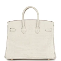Hermes Birkin 25 Beton Matte Alligator Gold Hardware Hermes Birkin 25 Beton Matte Alligator Gold Hardware