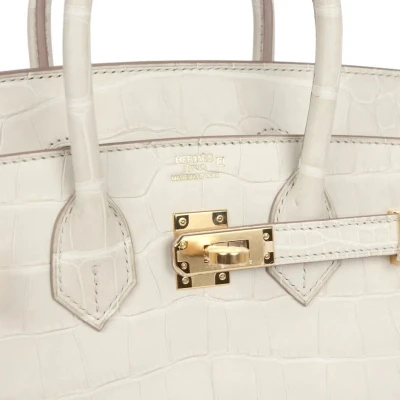 Hermes Birkin 25 Beton Matte Alligator Gold Hardware Hermes Birkin 25 Beton Matte Alligator Gold Hardware