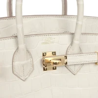 Hermes Birkin 25 Beton Matte Alligator Gold Hardware Hermes Birkin 25 Beton Matte Alligator Gold Hardware