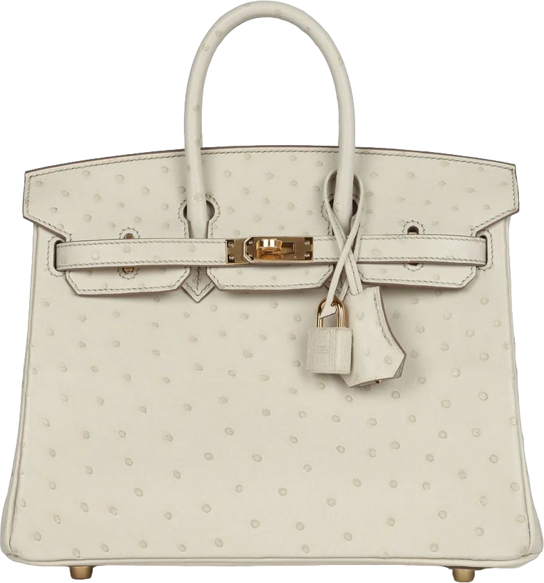 Hermes Birkin 25 Beton Ostrich Gold Hardware