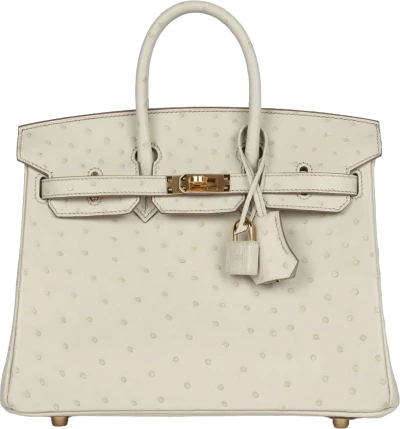 Hermes Birkin 25 Beton Ostrich Gold Hardware Hermes Birkin 25 Beton Ostrich Gold Hardware