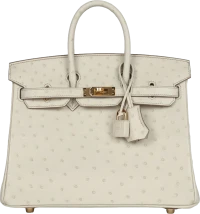 Hermes Birkin 25 Beton Ostrich Gold Hardware Hermes Birkin 25 Beton Ostrich Gold Hardware