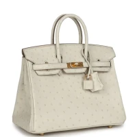Hermes Birkin 25 Beton Ostrich Gold Hardware Hermes Birkin 25 Beton Ostrich Gold Hardware